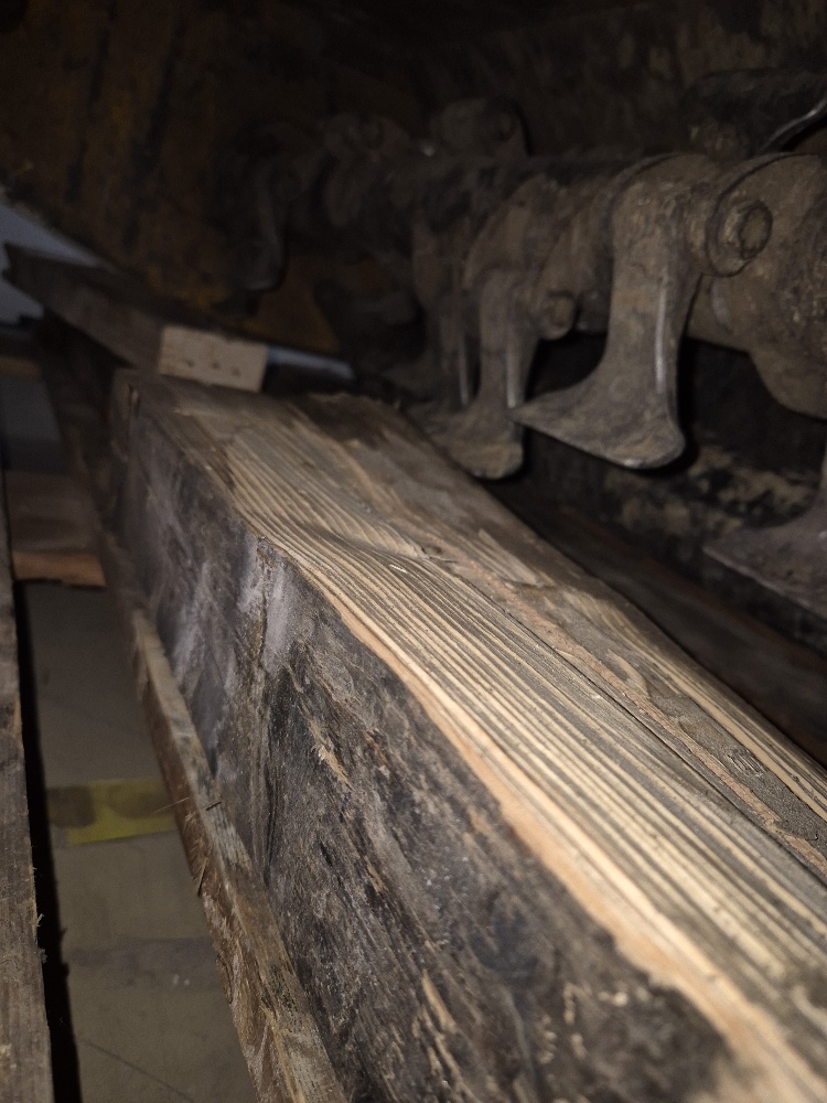 20251126_084548_resized