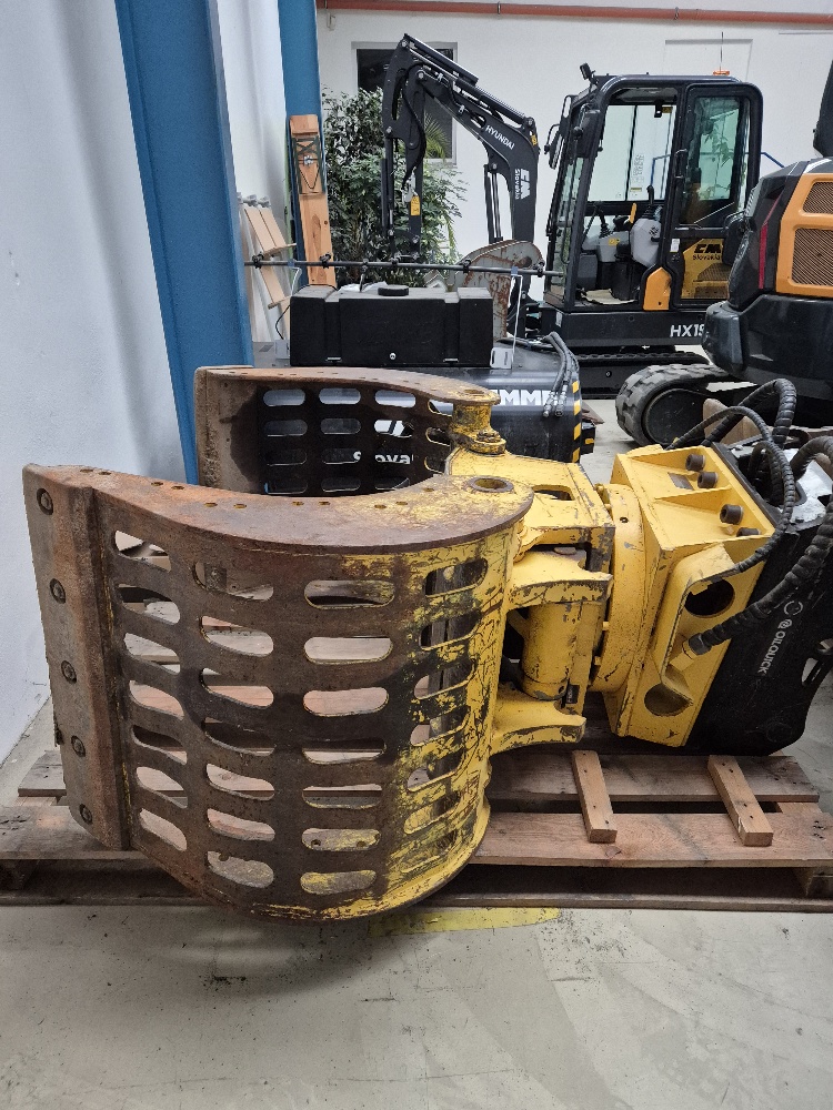 20251126_090335_resized