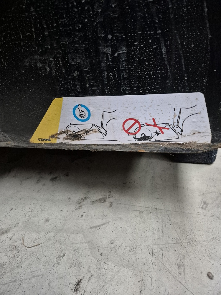 20251126_091608_resized