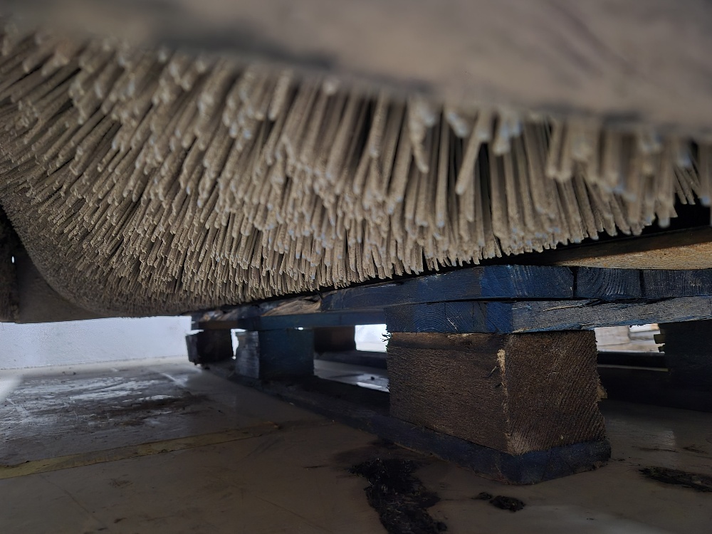 20251126_091641_resized